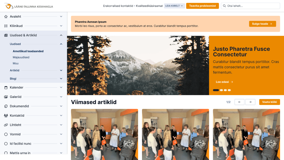 Lääne-Tallinna Keskhaigla